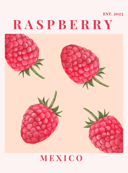 Raspberry Mexico Botanical Fruit Poster