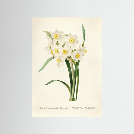 Blomma 1