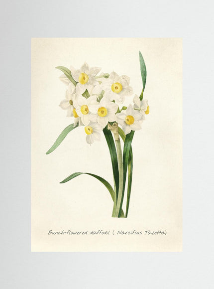 Blomma 1
