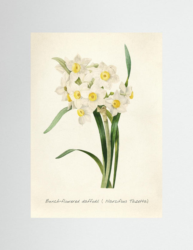 Blomma 1