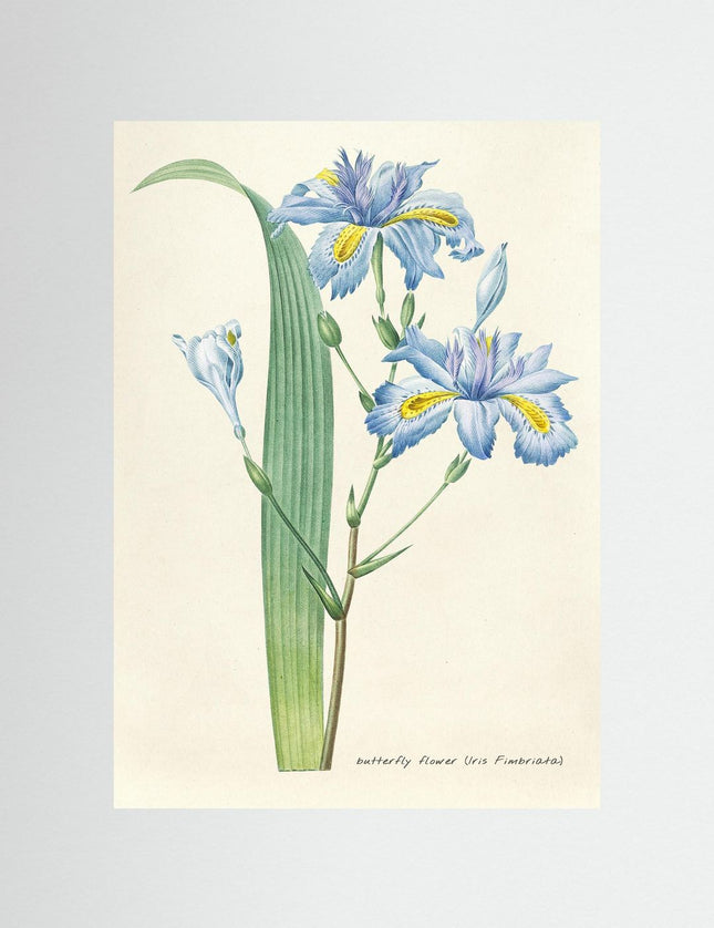 Blommor 27