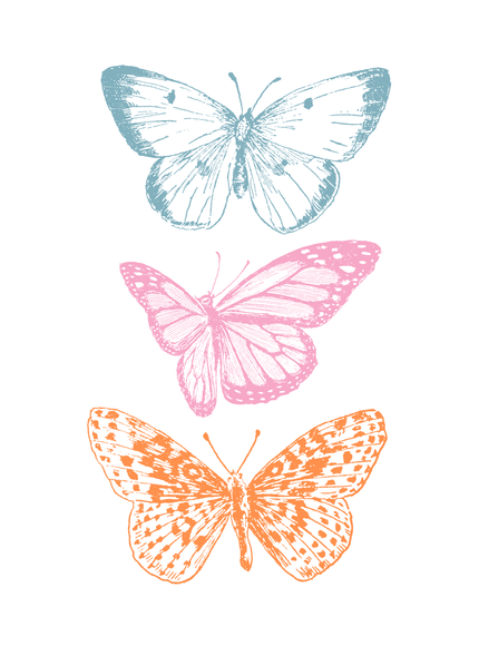 Butterfly Trio Poster in Blue Pink Orange - Framzio