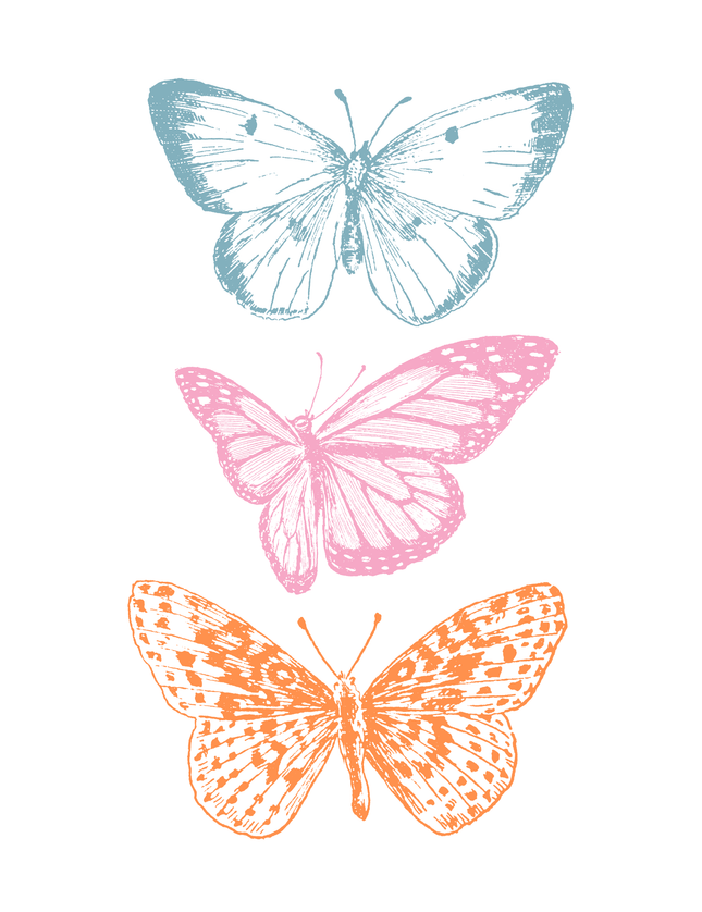 Butterfly Trio Poster in Blue Pink Orange - Framzio