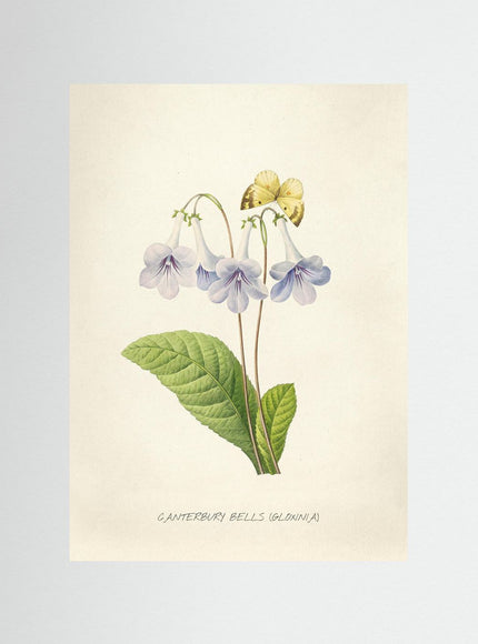 blomma 2