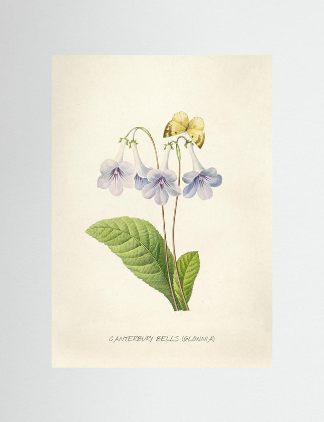 blomma 2