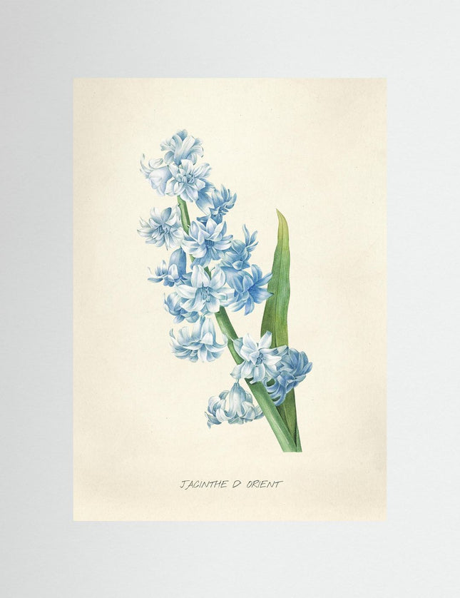 Blomma 4