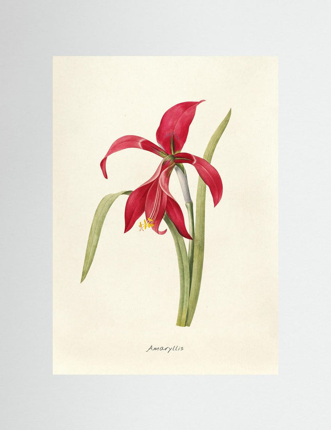 Blomma 3