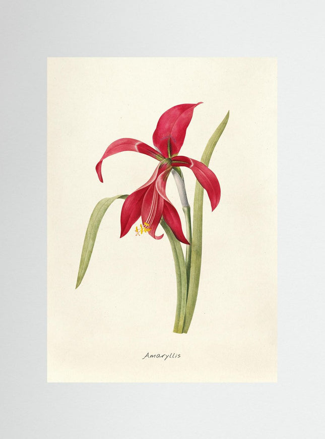 Blomma 3