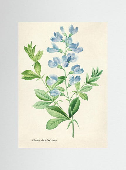 Blommor 22