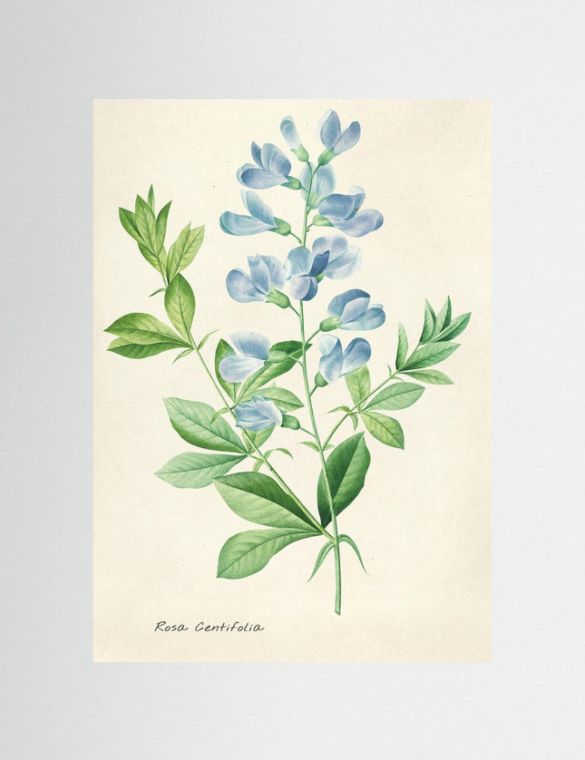 Blommor 22
