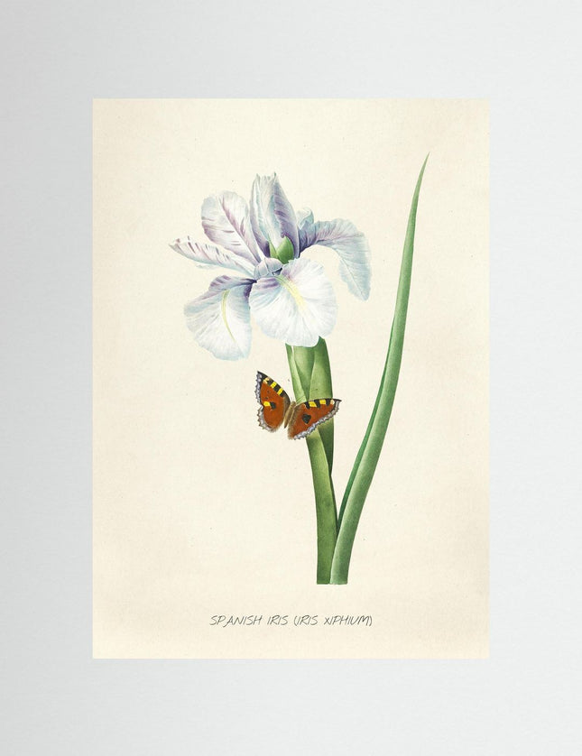 Blomma 14